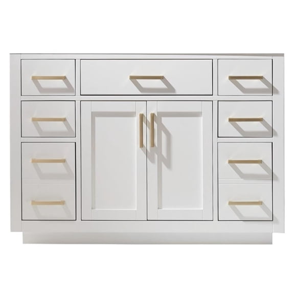 Ivy 48" Single Bathroom Vanity Cabinet Only in White without Countertop and Mirror