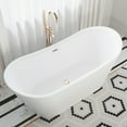 thumbnail image 1 of Ivy 67" Double Slipper Freestanding Bathtub, 1 of 11