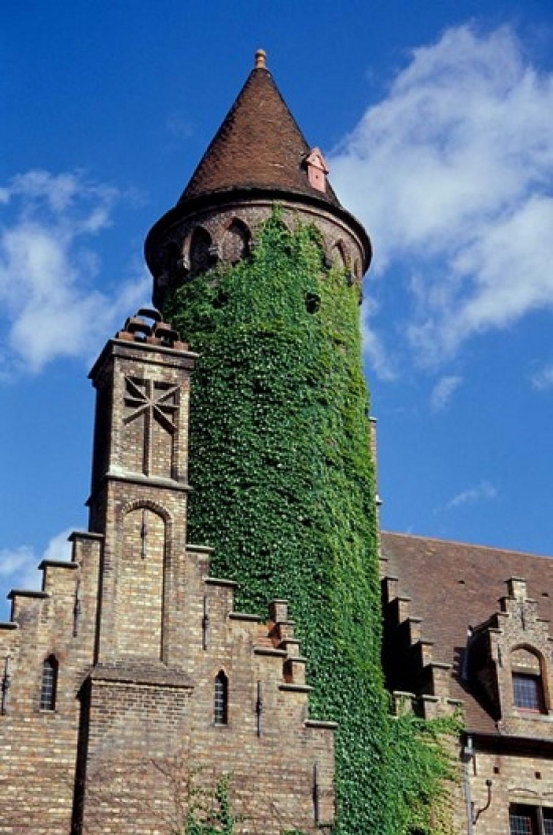 Ivy-Covered Medieval Tower Canvas Art - Cindy Miller Hopkins DanitaDelimont (24 x 36)