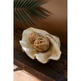 thumbnail image 1 of GIANT RESIN CLAM SHELL, 1 of 10