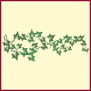 Ivy Garland 1 Stencil - Herb Flower Floral Arrangements Bouquet Border Colonial Romantic DIY Vase Pitcher Decor Painting Gifts Crafts Laser Cut Mylar Reusable Templates - The Artful Stencil