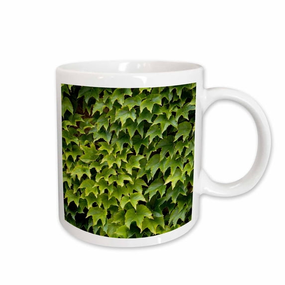 3drose, Ivy Growing on Wall in Provence Region of Southern France., 15oz Mug