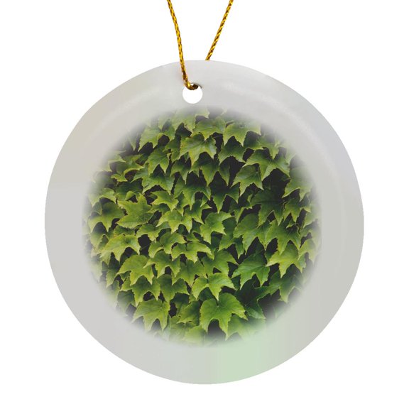 3drose, Ivy Growing on Wall in Provence Region of Southern France., Circle Porcelain Ornament
