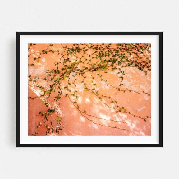 Ivy Shadows - San Miguel de Allende - San Miguel de Allende Guanajuato Mexico Photography Botanical Nature Pastel Garden Floral Black Framed Wall Art Print 8 x 10 inches