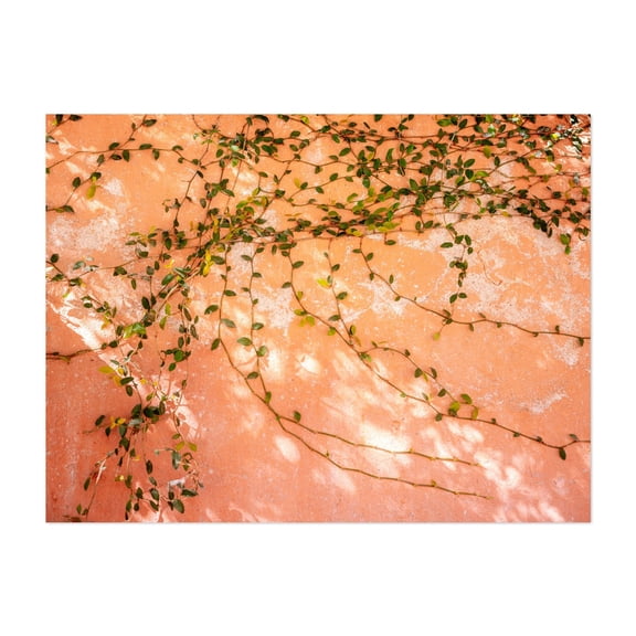 Ivy Shadows - San Miguel de Allende - San Miguel de Allende Guanajuato Mexico Photography Botanical Nature Pastel Garden Floral Unframed Wall Art Print 18 x 24 inches