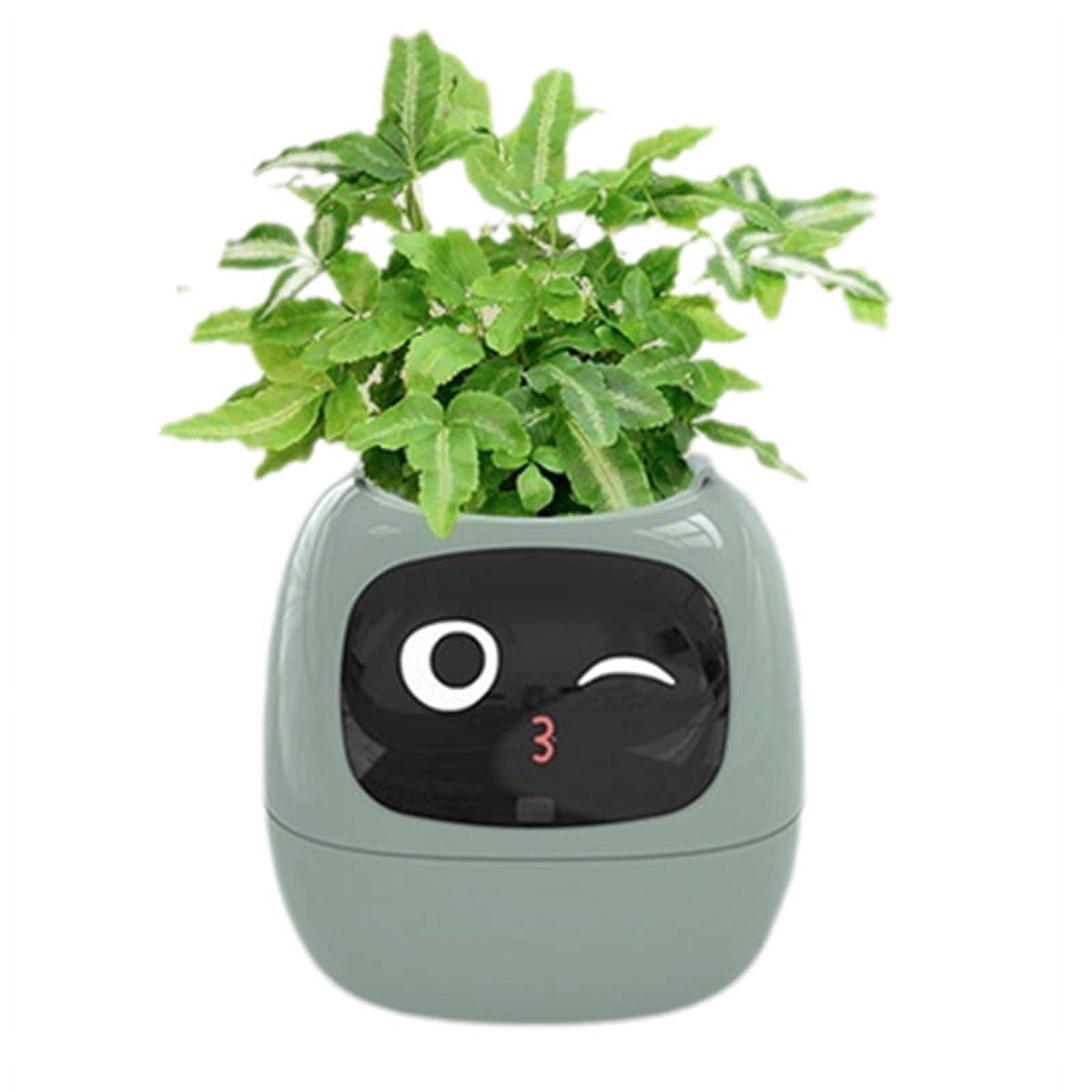 Ivy Smart Planter,USB Rechargeable Indoor Small Flower Pot for Indoor Decoration Make Raising Plant Easy and Fun Green
