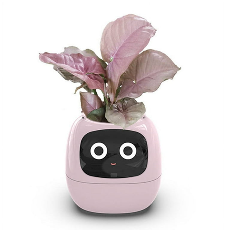 Ivy Smart Planter USB Rechargeable Indoor Small Flower Pot for Indoor Decoration Make Raising Plant Easy and Fun Pink