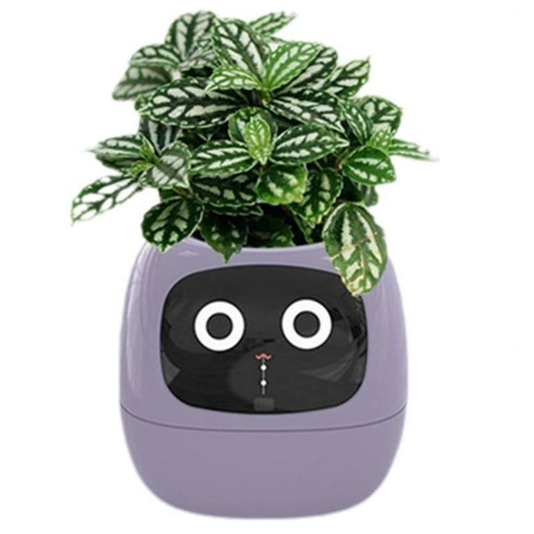 Ivy Smart Planter USB Rechargeable Indoor Small Flower Pot for Indoor Decoration Make Raising Plant Easy and Fun