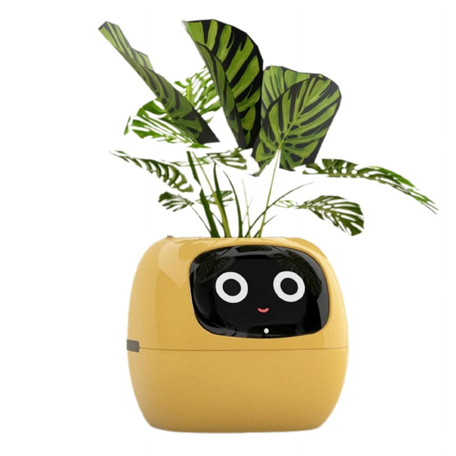 Ivy Smart Planter,USB Rechargeable Indoor Small Flower Pot for Indoor Decoration Make Raising Plant Easy and Fun Yellow