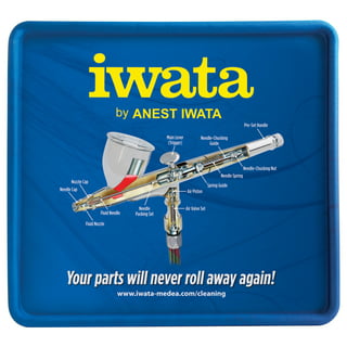 Iwata 10' Straight Shot Airbrush Hose with Iwata Airbrush Fitting and 1/4  Compressor Fitting: Anest Iwata-Medea, Inc.