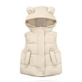 thumbnail image 1 of Ixbnca Toddler Kids Puffer Vest Cute Full Zipper Hooded Waistcoats Plain Sleeveless Pockets Quilted Outerwear, 1 of 7