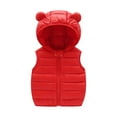 thumbnail image 1 of Ixbnca Toddler Puffer Vest Coat Full Zip up Ear Hoodie Cute Kids Winter Outwear Lightweight Warm Jacket, 1 of 2