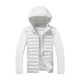 thumbnail image 1 of Iyufng Men's Mock Neck Spliced Puffer Jackets Detachable Hood Long Sleeves Zip Up Outerwear, 1 of 9