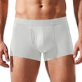 thumbnail image 1 of Iyufng Mens Breathable Mesh Fly Boxer Briefs Stretch Wide Waistband Everyday Athletic Underwear, 1 of 8