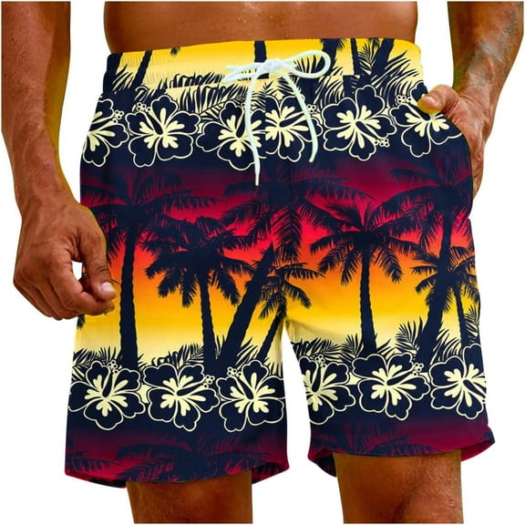 Iyufng Mens Shorts with Pockets Men's Shorts Drawstring,Men's Special Print Beach Casual Trouser Shorts Pants