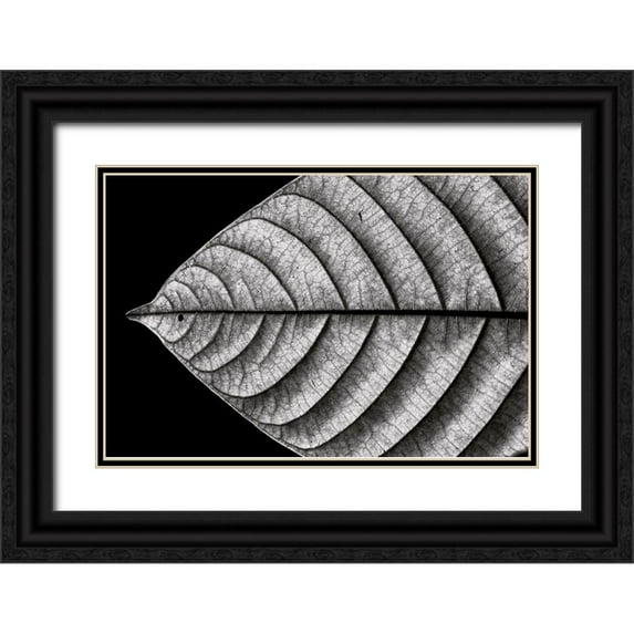 J. Bhange, Nilesh 24x17 Black Ornate Wood Framed with Double Matting Museum Art Print Titled - Dry Fish