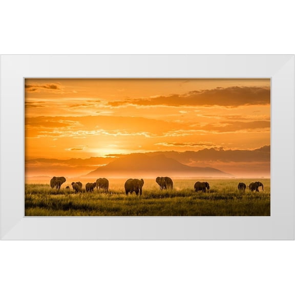 J. Chen, John 14x10 White Modern Wood Framed Museum Art Print Titled - Golden Africa