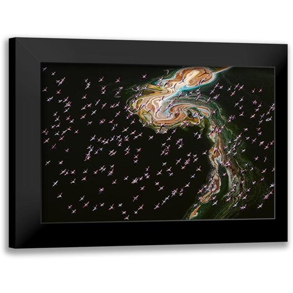 J. Chen, John 14x11 Black Modern Framed Museum Art Print Titled - Hundreds Of Flamingos