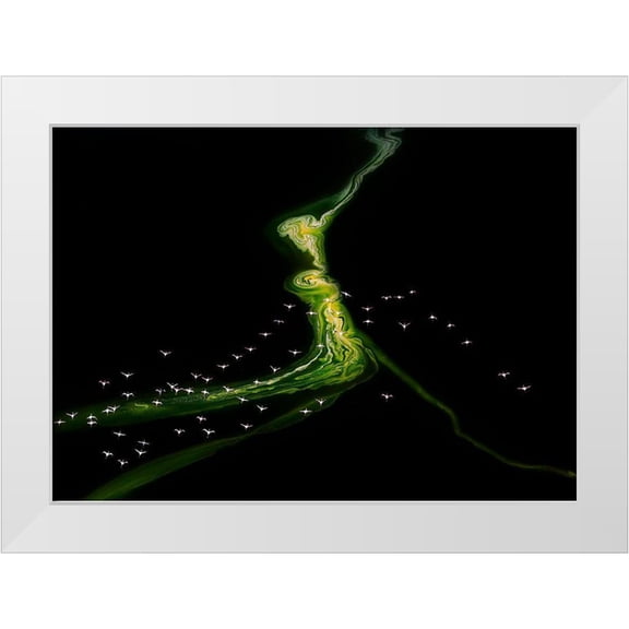 J. Chen, John 14x11 White Modern Wood Framed Museum Art Print Titled - Flying Over Incredible Pattern