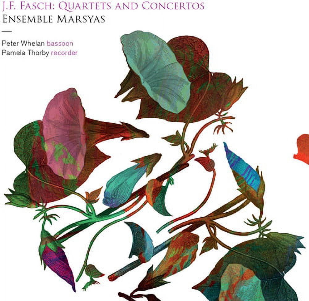 J.F. Fasch: Quartets and Concertos