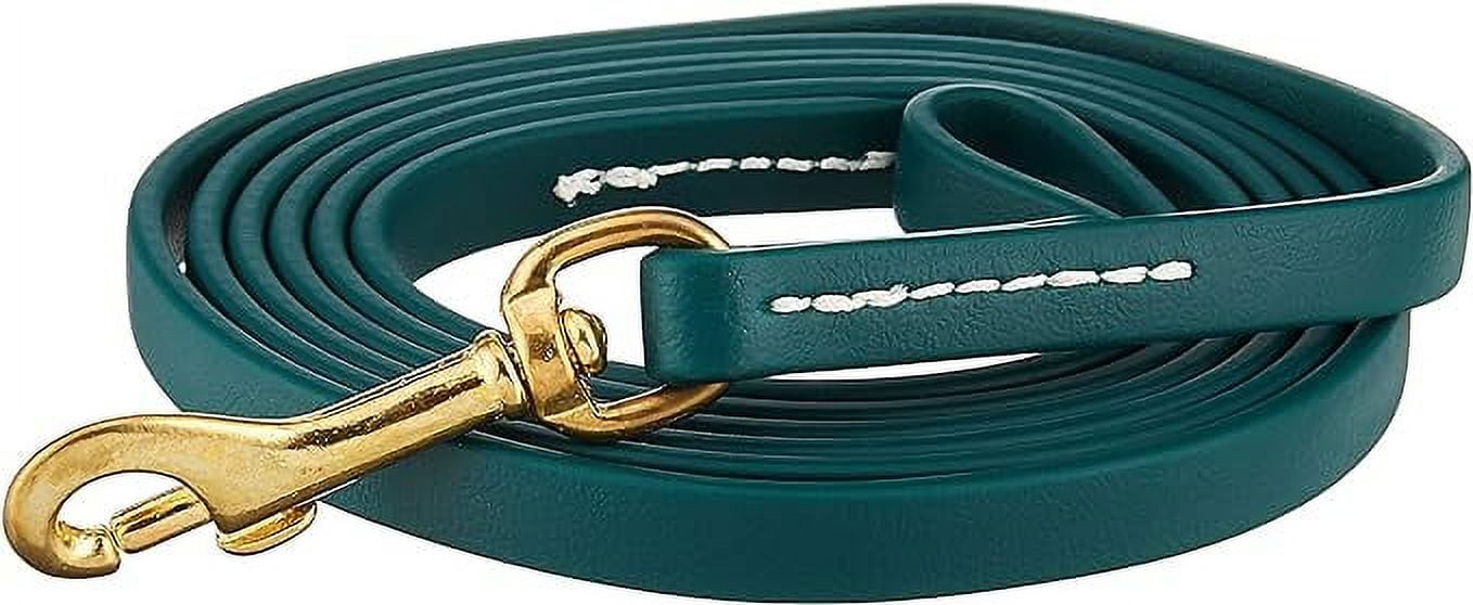 J J Dog Supplies Biothane Dog Leash 1 2 Wide by 6 Long Hunter Green Walmart