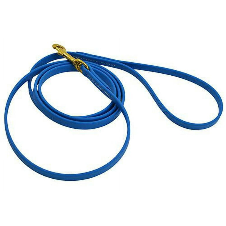 J J Dog Supplies Biothane Dog Leash 1 2 Wide by 6 Long Sky Blue