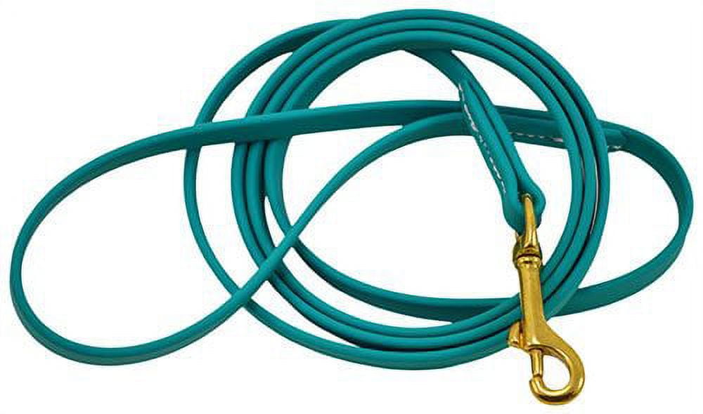 J&J Dog Supplies Biothane Dog Leash, 3/4" Wide by 6' Long, Teal