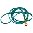 thumbnail image 1 of J&J Dog Supplies Biothane Dog Leash, 3/4" Wide by 6' Long, Teal, 1 of 3