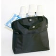 thumbnail interactive-video image 1 of J.L. Childress MaxiCOOL 4 Bottle Cooler - Breastmilk and Baby Bottle Bag with Ice Pack, Black, 1 of 8
