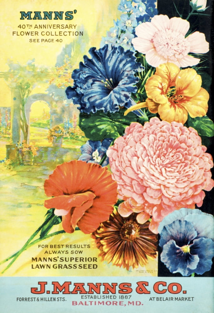 J Manns seed catalog with illustration of flowers from 20th century Canvas Art - Remsberg Inc Design Pics (12 x 18)
