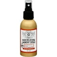 J.R. Watkins Pain Relieving Liniment Spray 4 fl. oz.
