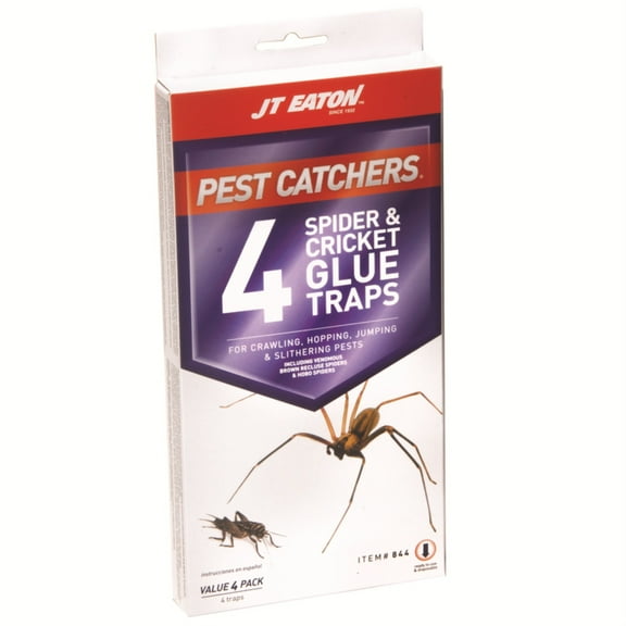 TRAP SPIDER & CRICKET (Pack of 12)