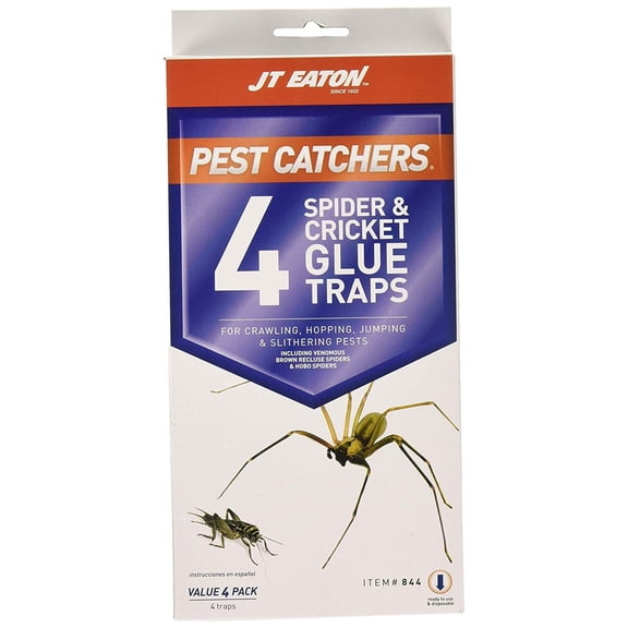 J T Eaton 646437141239 JT Eaton 844 Pest Catchers Large Spider and Cricket Size Attractant Sc