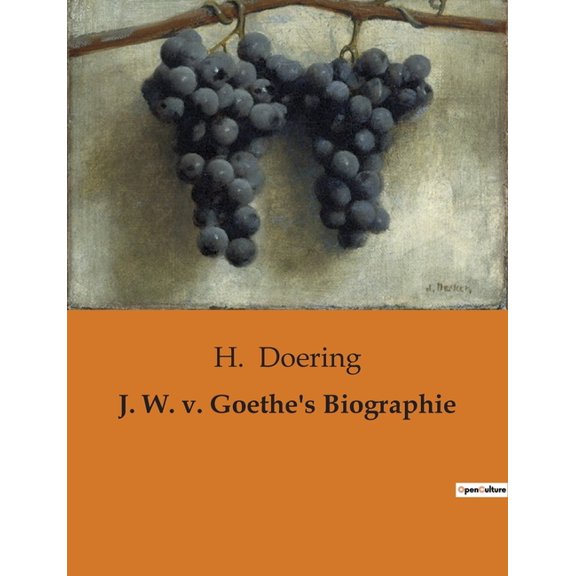 J. W. v. Goethe's Biographie