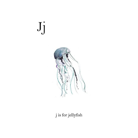 J is for Jellyfish Poster Print by Leah Straatsma (24 x 36)