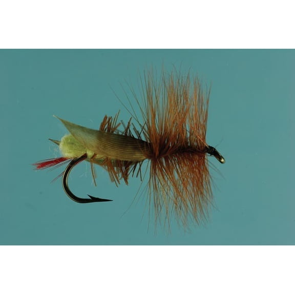 JACKSON CARDINAL Joe's Hopper