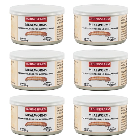 JADINGSFARM 6 Pack Canned Mealworms for Reptiles, Fish, Birds or Small Animals, 7.2 Oz