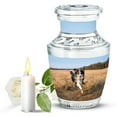 thumbnail image 1 of JAGASY Dog Burial Urn for Ashes for Women, Light Blue Urns for Human Ashes Keepsake, Small Decorative Urns for Daughter, Handmade Cremation Urn for Son, (3 Inch), 1 of 7