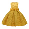 thumbnail image 1 of JAJAHO Carnival Girls Princess Dress Elegant Sleeveless Floral Appliques Pleated Ball Gowns Formal Party Prom Wear Stylish Dresses, 1 of 3