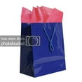 thumbnail image 1 of JAM Gift Bag Assortment, 2 Blue Bags & Fuchsia Pink Tissue Paper, 3/Pack, 1 of 5