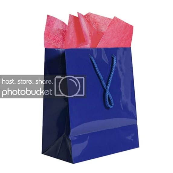 JAM Gift Bag Assortment, 2 Blue Bags & Fuchsia Pink Tissue Paper, 3/Pack