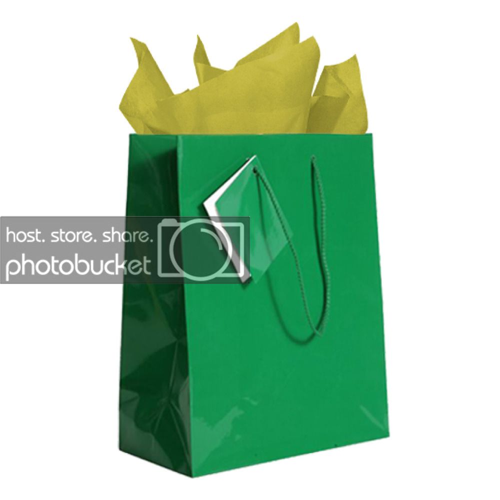JAM Gift Bag Assortment, 2 Green Bags & 2 Packs Gold Tissue Paper, 4/Pack