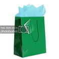 thumbnail image 1 of JAM Gift Bag Assortment, 2 Green Bags & Baby Blue Tissue Paper, 3/Pack, 1 of 5