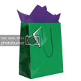 thumbnail image 1 of JAM Gift Bag Assortment, 2 Green Bags & Purple Tissue Paper, 3/Pack, 1 of 5