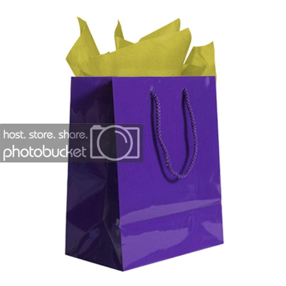 JAM Gift Bag Assortment, 2 Purple Bags & 2 Pack Gold Tissue Paper, 4/Pack