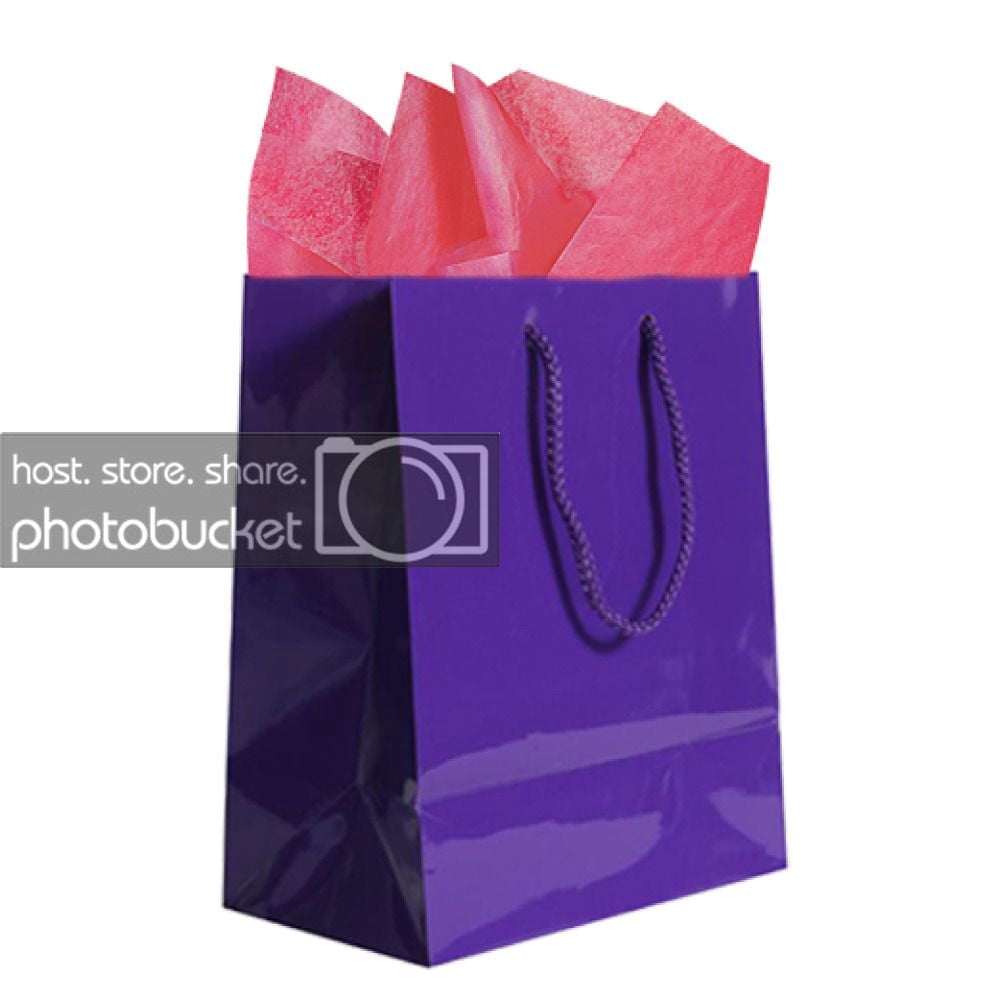 JAM Gift Bag Assortment, 2 Purple Bags & Fuchsia Pink Tissue Paper, 3/Pack