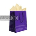 thumbnail image 1 of JAM Gift Bag Assortment, 2 Purple Bags & Ivory Tissue Paper, 3/Pack, 1 of 5