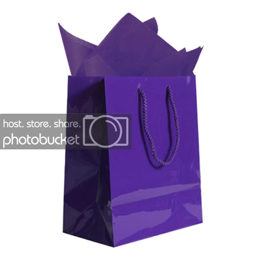 JAM Gift Bag Assortment, 2 Purple Bags & Purple Tissue Paper, 3/Pack