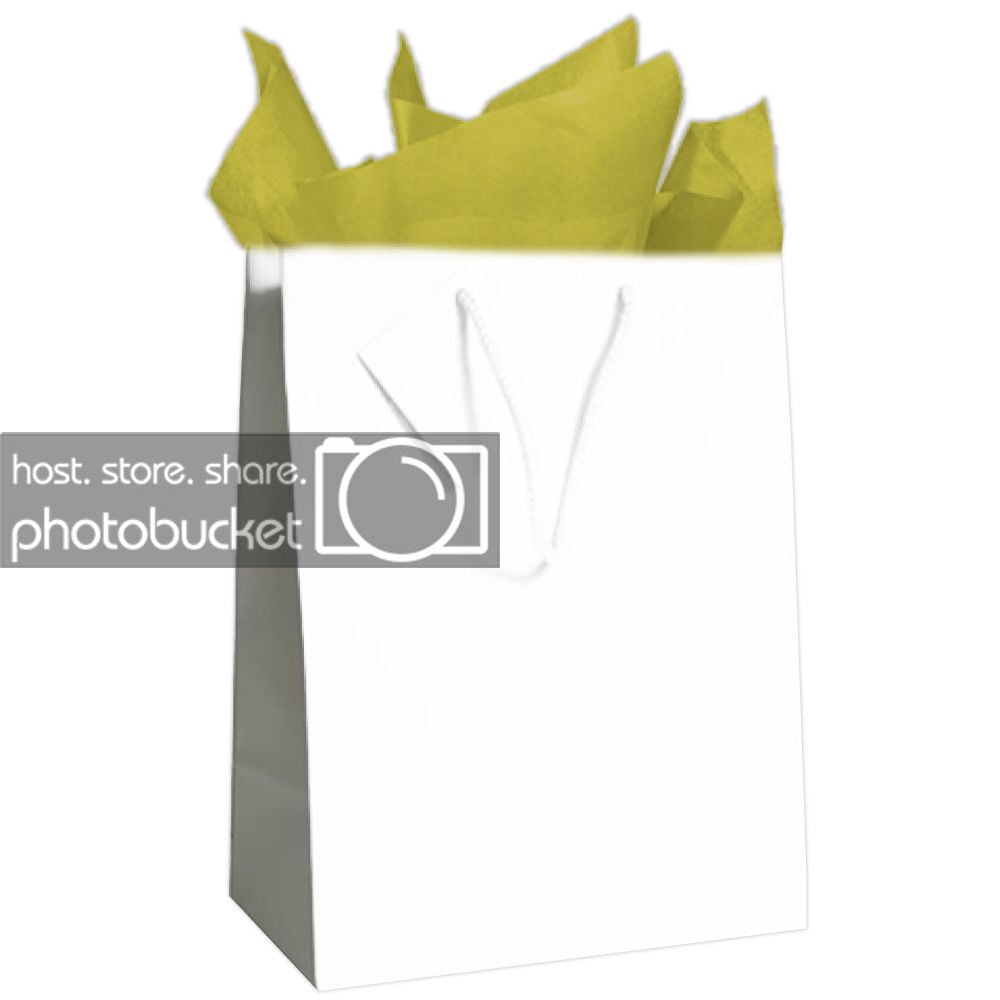 JAM Gift Bag Assortment, 2 White Bags & 2 Packs Gold Tissue Paper, 4/Pack