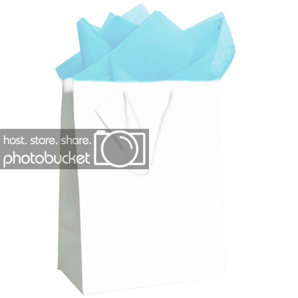 JAM Gift Bag Assortment, 2 White Bags & Baby Blue Tissue Paper, 3/Pack